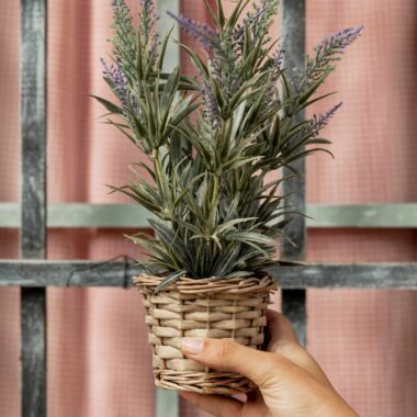 Close up woman holding plant pot 23 2148447107