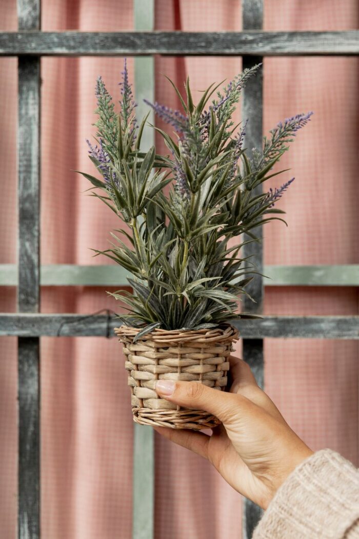 Close up woman holding plant pot 23 2148447107