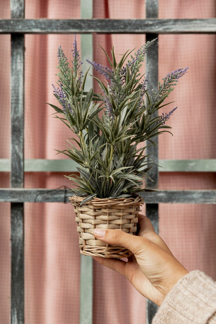 Close up woman holding plant pot 23 2148447107