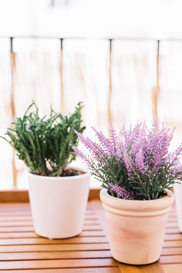 Flowers balcony 23 2147987408