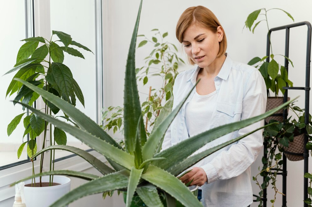 Medium shot woman checking plant 23 2148826062